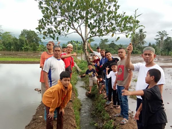 Sawah Bera 13/8/2023