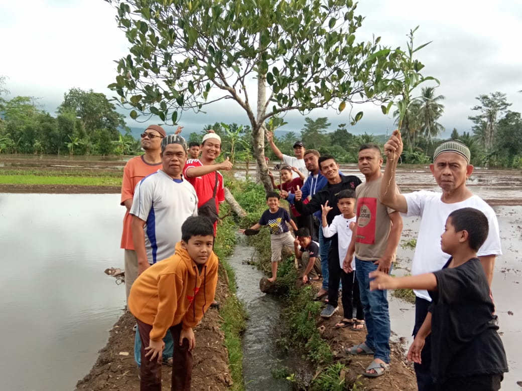 Sawah Bera 13/8/2023