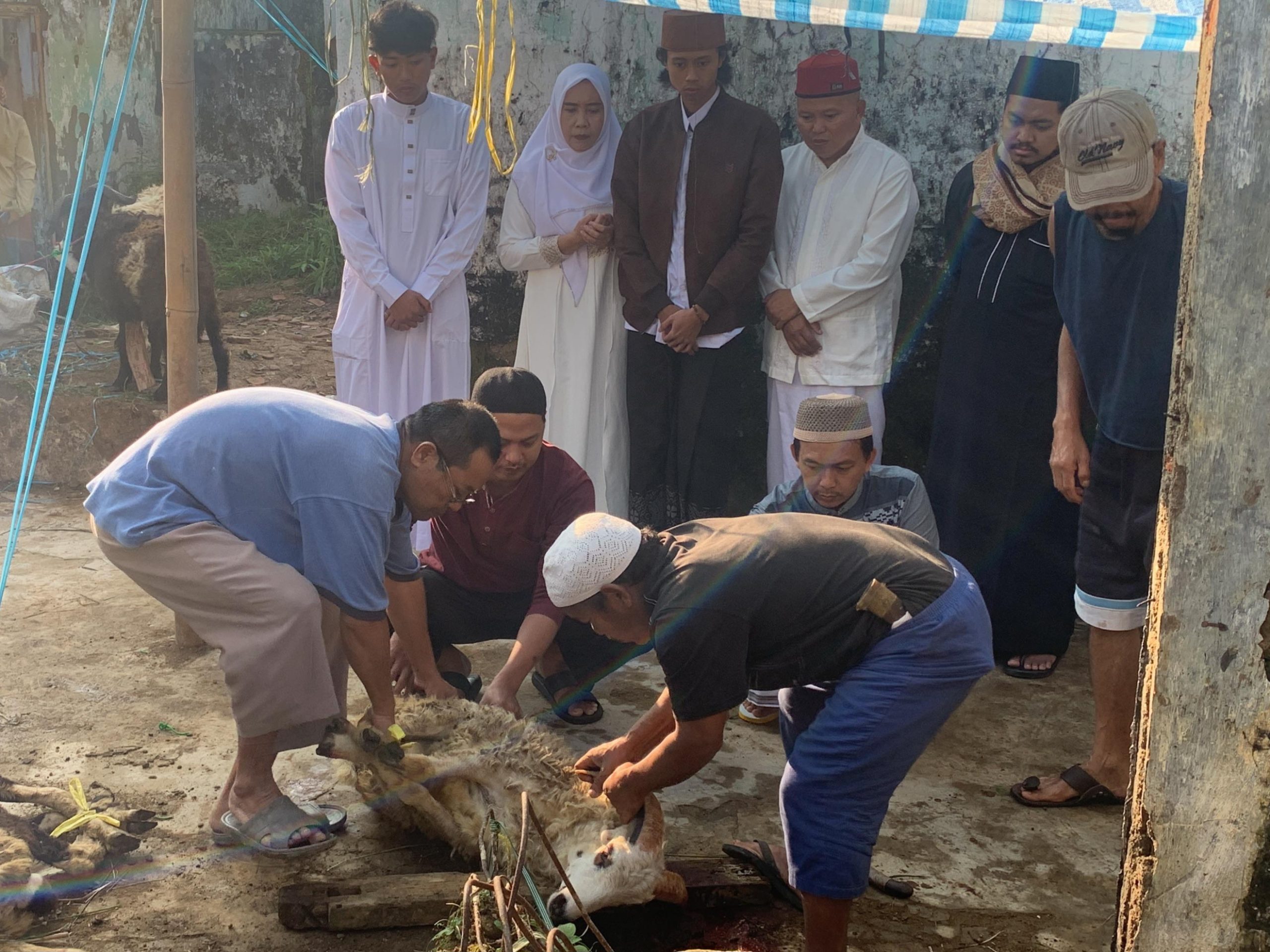 Qurban Kel. Bapak Rahmat Ginanjar 17/6/2024