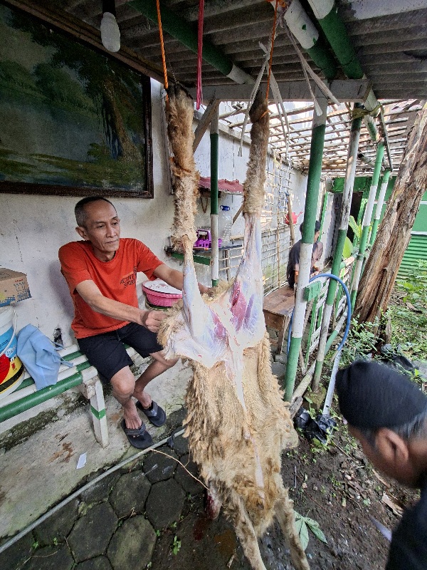 Qurban a.n. Ibu Hj. Mamay Maryatini 6/6/2025