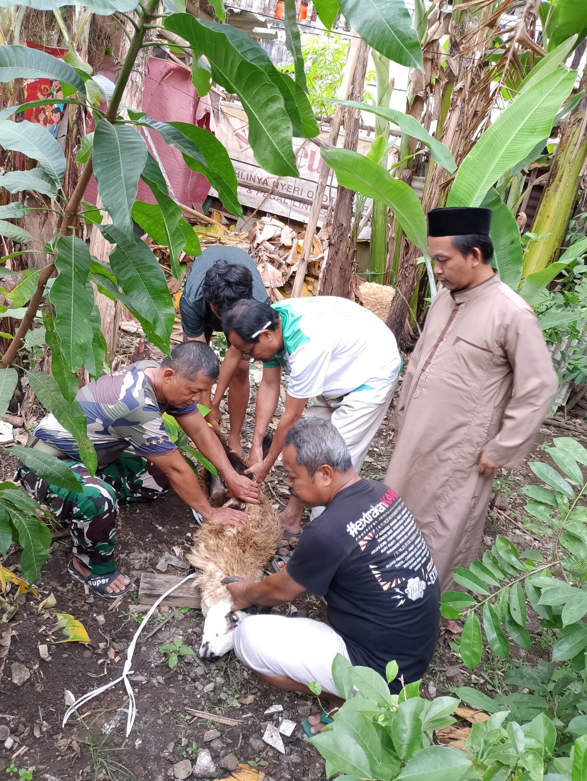 Pemotongan Domba Sumbangan INACO